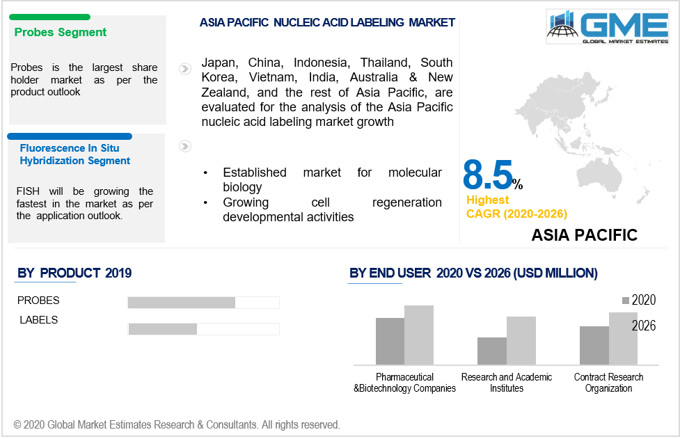 asia pacific nucleic acid labeling market